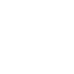 no microphone icon